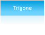 Trigone