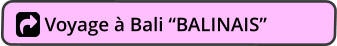 Voyage à Bali “BALINAIS”